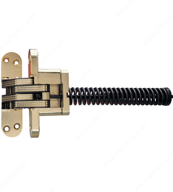 Richelieu Concealed Steel Hinge