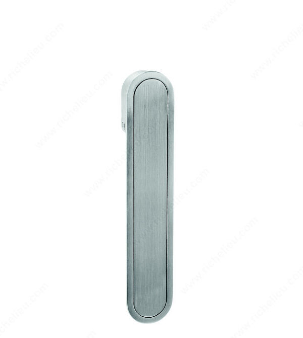 Richelieu Concealed Flush Handle