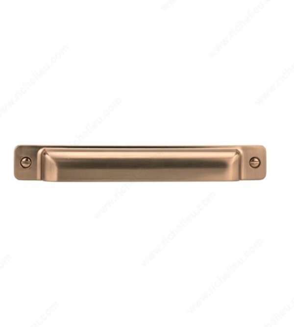 Richelieu Transitional Metal Pull - 8716