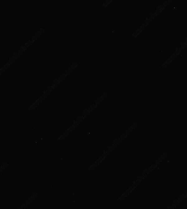 Richelieu Brillanté Door Sample - Black 610