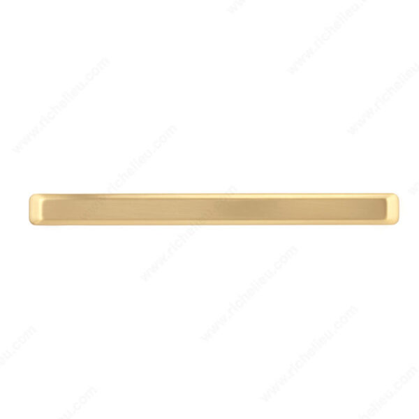 Richelieu Contemporary Metal Pull - 8189 - Image 4