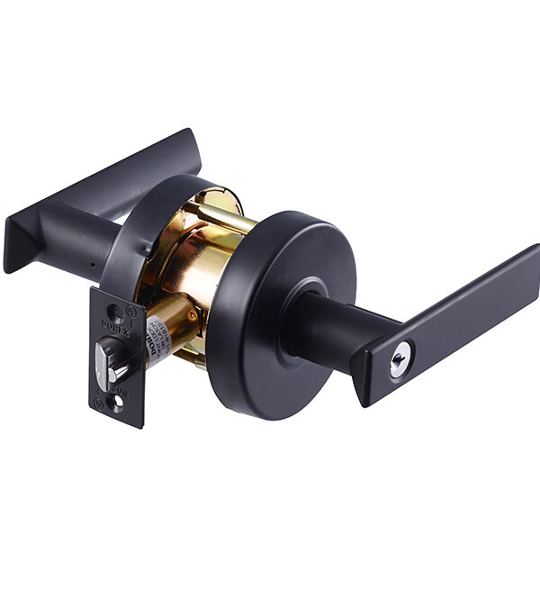 Dorex T2F53 19 Flat Medium-Duty Entry Lever – Matte Black