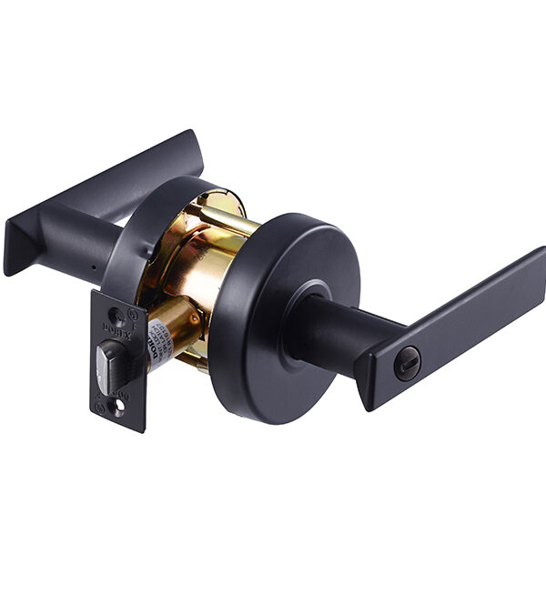 Dorex T2F40 19 Flat Medium-Duty Privacy Lever – Matte Black